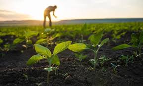 Agriculture & Livestock Support