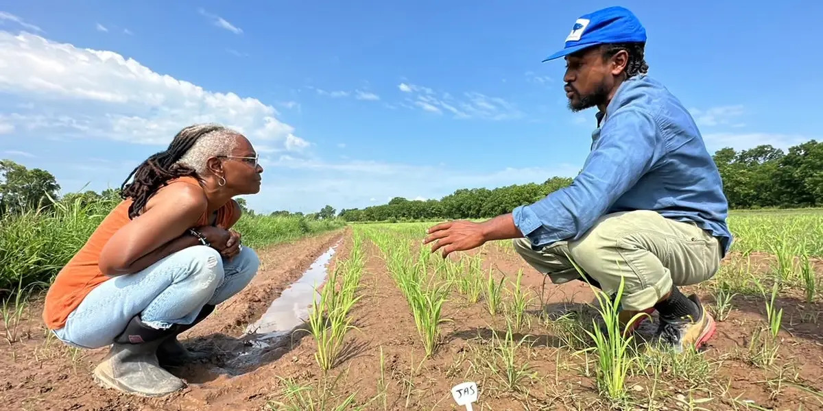 Inama y’Ibimera – Poetry & Knowledge Forum